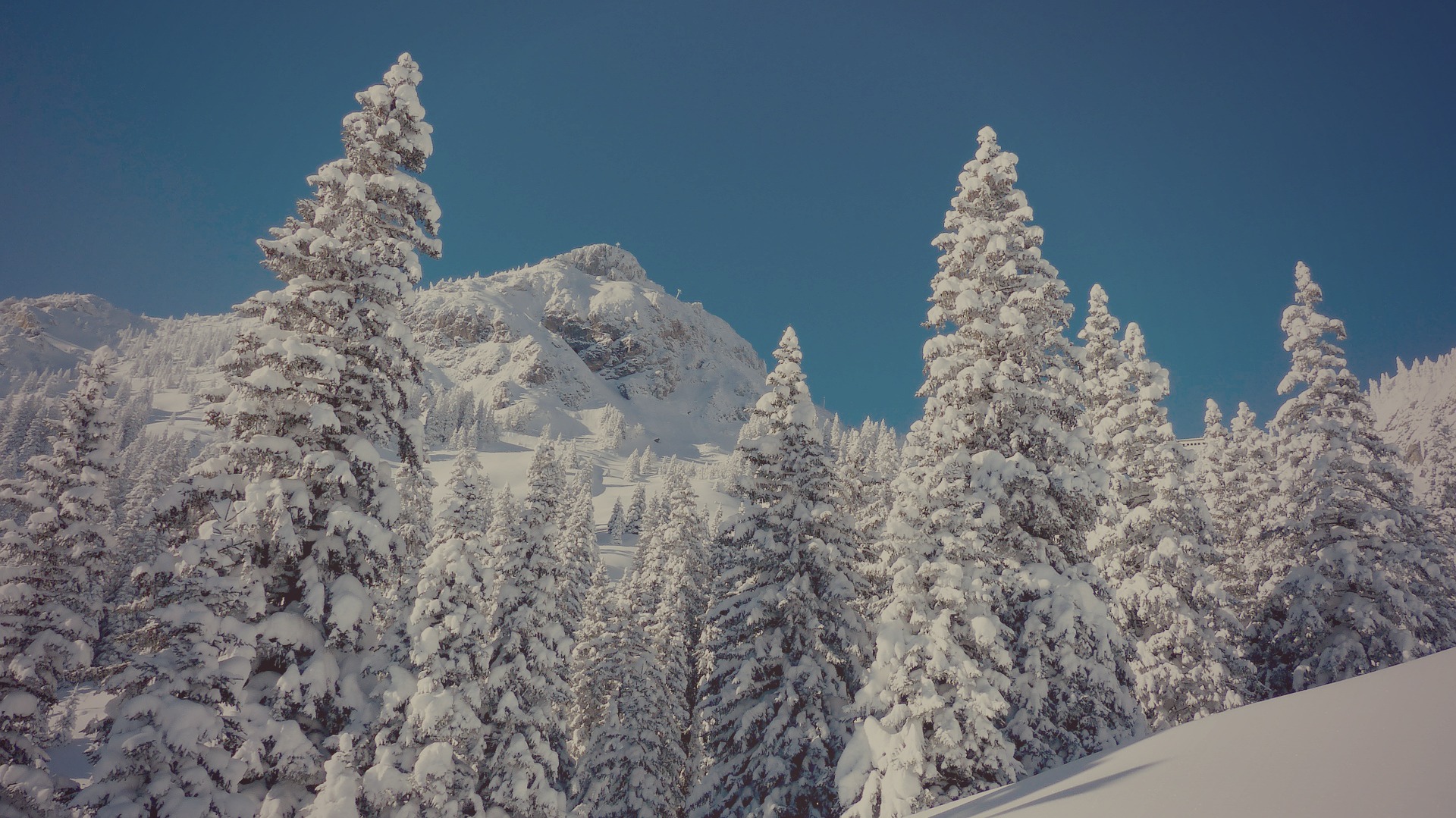 Quelques astuces pour passer des bonnes vacances à la montagne