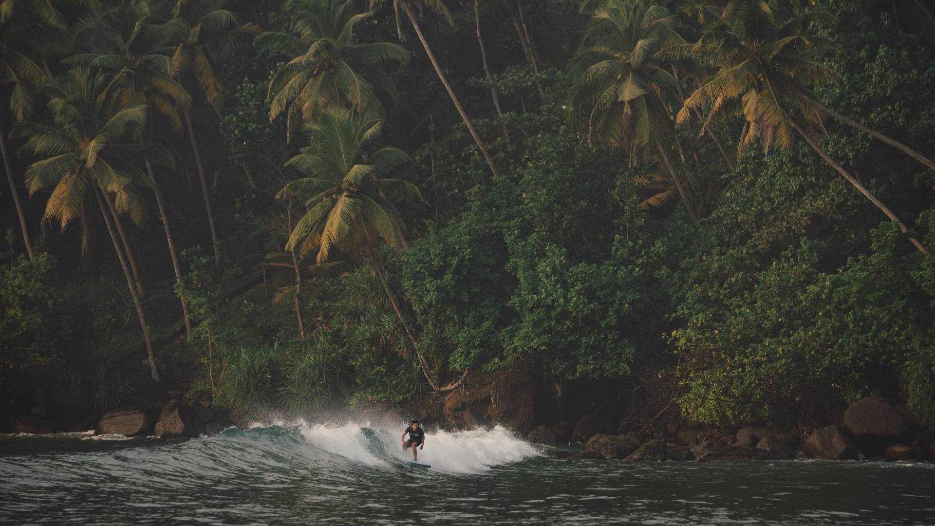 Surfeur