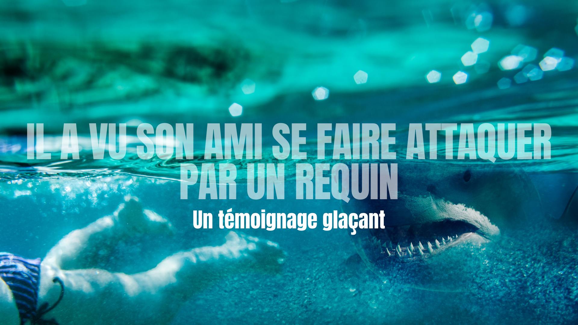 Attaque de requin témoignage