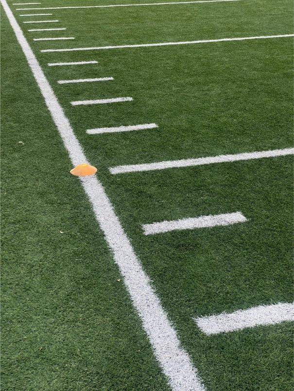 gazon synthetique foot