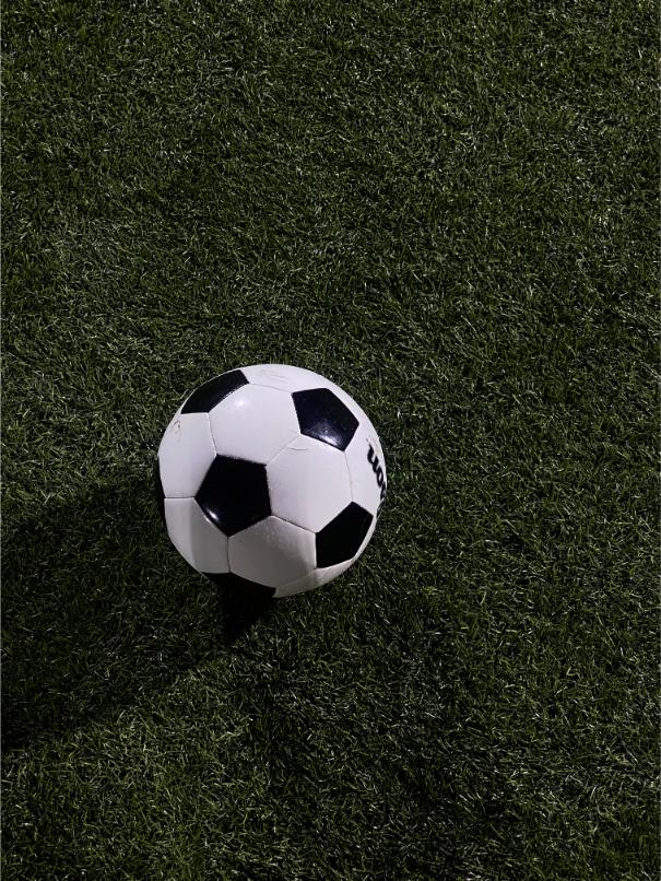 pelouse artificielle football